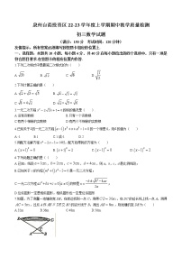 福建省泉州市台商投资区2022-2023学年九年级上学期期中质量检测数学试题(含答案)