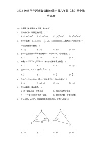 河南省洛阳市洛宁县2022-2023学年上学期八年级期中数学试题(含答案)