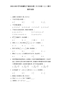 2022-2023学年新疆生产建设兵团二中八年级（上）期中数学试卷（含解析）