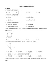 广东省茂名市电白区2022年八年级上学期期末数学试卷及答案