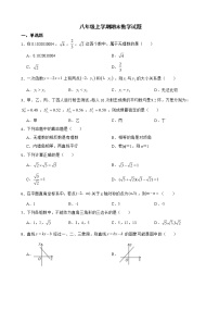 广东省茂名市高州市2022年八年级上学期期末数学试卷及答案