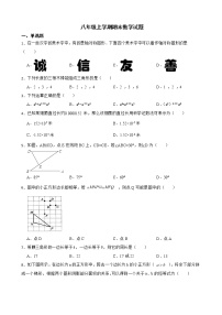 广东省汕头市龙湖区2022年八年级上学期期末数学试卷及答案