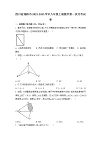 四川省绵阳市2022-2023学年八年级上学期10月月考数学试题(解析版)