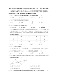 2021-2022学年湖北省武汉市武昌区八年级（下）期末数学试卷