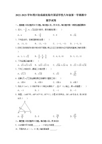 四川省成都实验外国语学校2022-2023学年八年级上学期期中数学试卷(含答案)