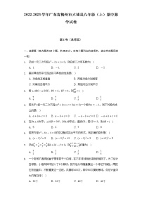 2022-2023学年广东省梅州市大埔县九年级（上）期中数学试卷(含解析 )