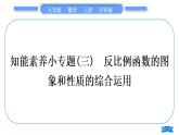 沪科版九年级数学上第21章二次函数与反比例函数知能素养小专题(三)反比例函数的图象和性质的综合运用习题课件