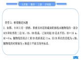 沪科版九年级数学上第21章二次函数与反比例函数知能素养小专题(四)实际问题与二次函数习题课件