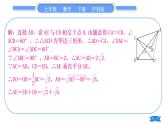 沪科版九年级数学下第24章圆24.1旋转知能素养小专题(一)与几何图形的旋转有关的计算习题课件