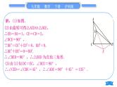 沪科版九年级数学下第24章圆24.1旋转知能素养小专题(一)与几何图形的旋转有关的计算习题课件
