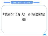 沪科版九年级数学下第24章圆知能素养小专题(九)圆与函数的综合应用习题课件