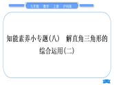 沪科版九年级数学上第23章解直角三角形知能素养小专题(八)解直角三角形的综合运用(二)习题课件