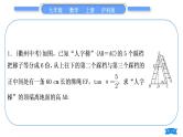 沪科版九年级数学上第23章解直角三角形知能素养小专题(八)解直角三角形的综合运用(二)习题课件