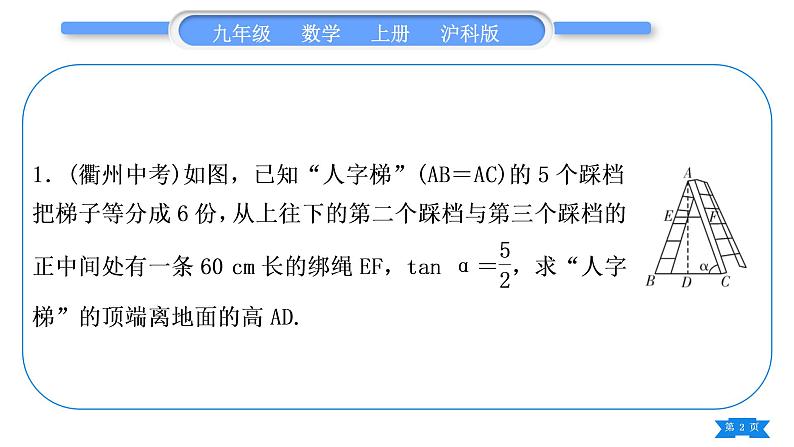 沪科版九年级数学上第23章解直角三角形知能素养小专题(八)解直角三角形的综合运用(二)习题课件02