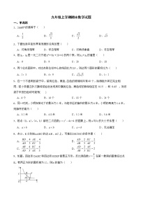 广东省梅州市平远县2022年九年级上学期期末数学试题及答案