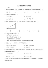 山西省临汾市洪洞县2022年九年级上学期期末数学试题及答案