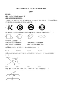 河南省信阳市平桥区龙井乡中心学校2022-2023学年八年级上学期期中数学试题(含答案)