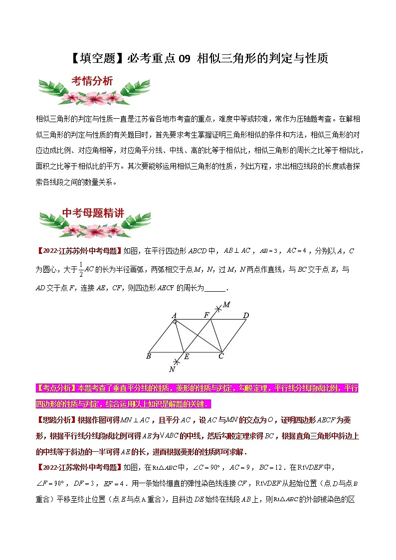 【中考专项】2023年中考数学转向练习之选择题09 相似三角形的判定与性质第1页