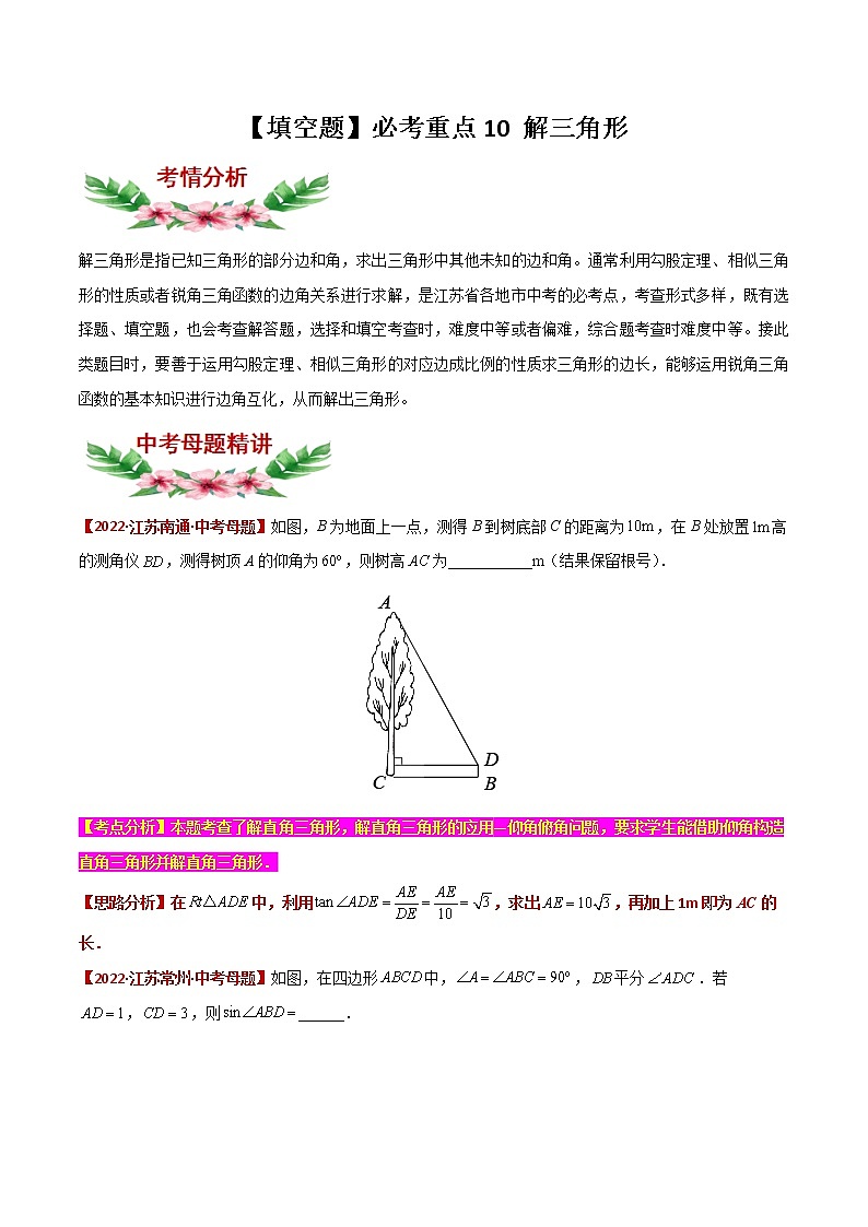 【中考专项】2023年中考数学转向练习之选择题10 解三角形第1页