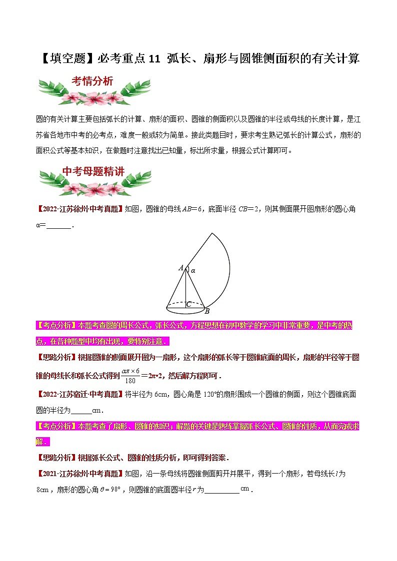 【中考专项】2023年中考数学转向练习之选择题11 弧长、扇形与圆锥侧面积的有关计算01