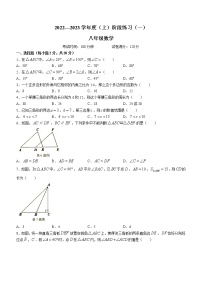 辽宁省抚顺市望花区2022-2023学年八年级上学期阶段练习（一）数学试题(含答案)