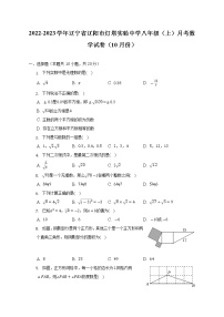 辽宁省辽阳市灯塔实验中学2022-2023学年八年级（上）月考数学试卷（10月份）(解析版)