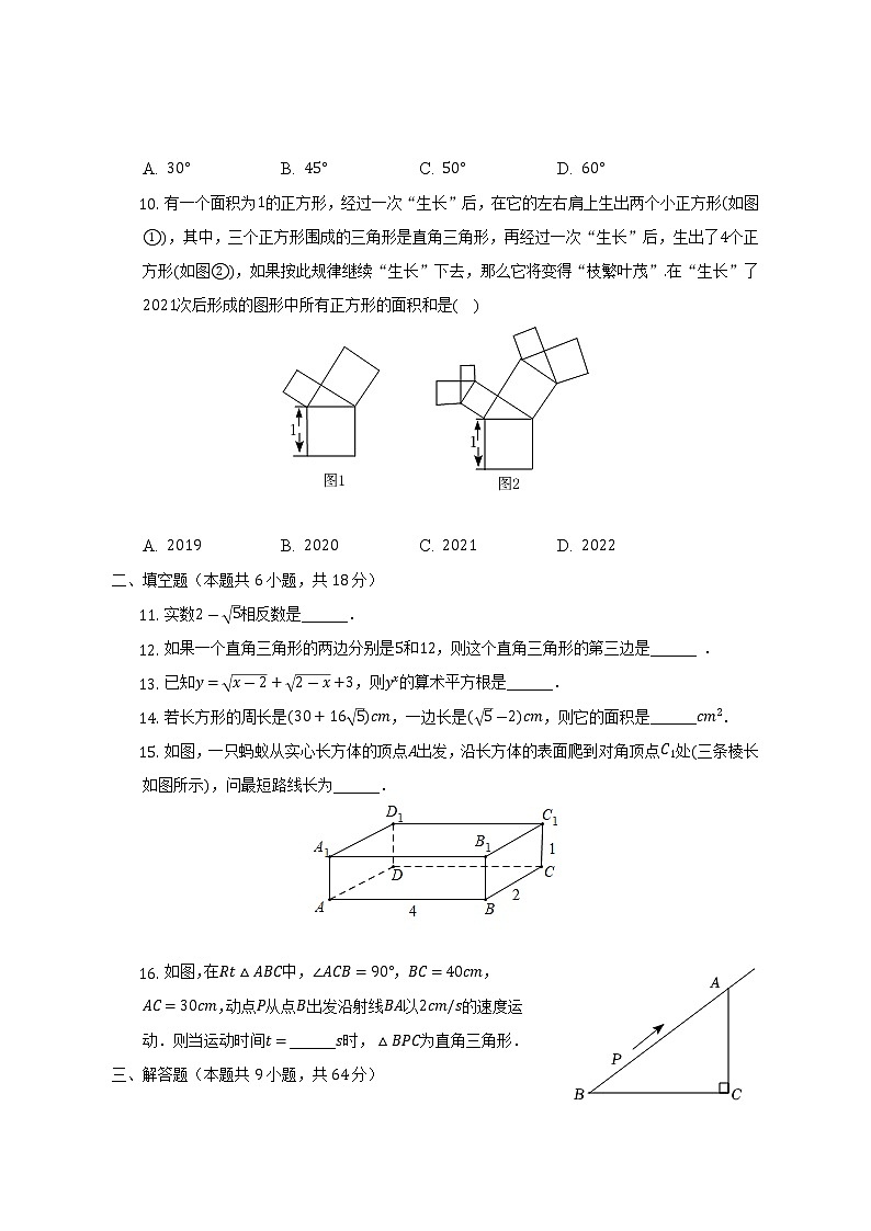 辽宁省辽阳市灯塔实验中学2022-2023学年八年级（上）月考数学试卷（10月份）(解析版)第2页