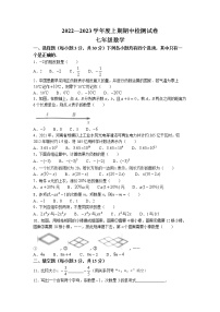 河南省周口市部分学校2022-2023学年七年级上学期期中数学试题(无答案)