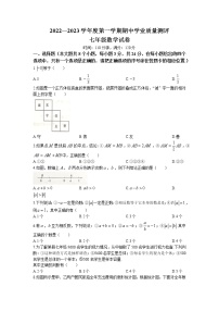 山东省菏泽市成武县2022-2023学年七年级上学期期中数学试题(无答案)