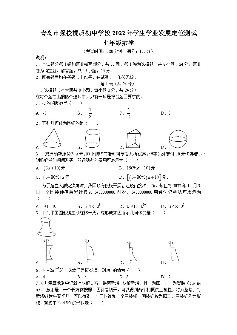 山东省青岛市2022-2023学年七年级上学期期中数学试题第1页
