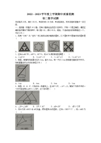 山东省淄博市临淄区2022-2023学年七年级上学期期中数学试题（含答案）