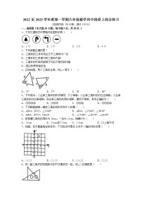 广东省肇庆市高要区河台镇初级中学2022-2023学年八年级上学期期中考试数学试题(无答案)