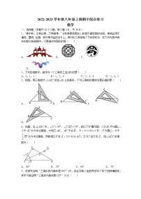 河南省信阳市淮滨县2022-2023学年八年级上学期期中数学试题