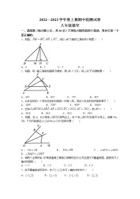 河南省周口市部分学校2022-2023学年八年级上学期期中数学试题(无答案)