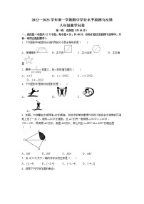 山东省聊城市阳谷县2022-2023学年八年级上学期期中数学试题