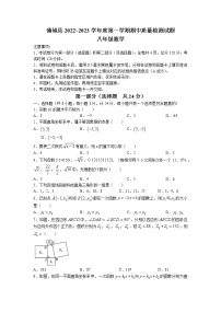 陕西省渭南市蒲城县2022-2023学年八年级上学期期中数学试卷(无答案)