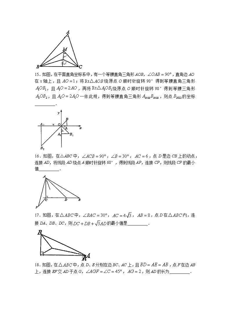 浙江省宁波市鄞州区鄞州蓝青学校2022-2023学年八年级上学期期中数学试题03