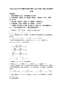 安徽省阜阳市颍上县2022-2023学年九年级上学期期中考试数学试卷