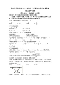 福建省泉州市台商投资区2022-2023学年九年级上学期期中质量检测数学试题