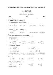 湖南省郴州市桂东县普乐九年一贯制学校2020—2021学年上学期八年级数学期末试卷