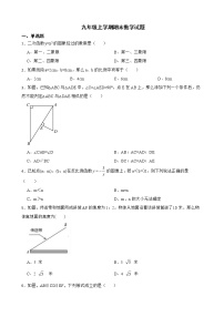 安徽省合肥市肥东县2022年九年级上学期期末数学试题（附答案）