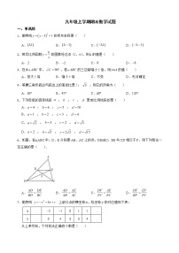 安徽省合肥市肥西县2022年九年级上学期期末数学试题（附答案）