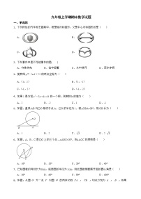 广东省湛江市麻章区2022年九年级上学期期末数学试题（附答案）