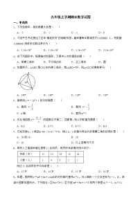 广东省肇庆市封开县2022年九年级上学期期末数学试题（附答案）