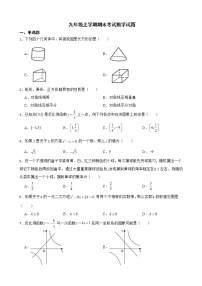 云南省文山州马关县2022年九年级上学期期末考试数学试题及答案