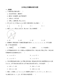 云南省昭通市昭阳区2022年九年级上学期期末数学试题及答案