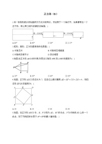 2023届中考数学专项练习  正方形（B）