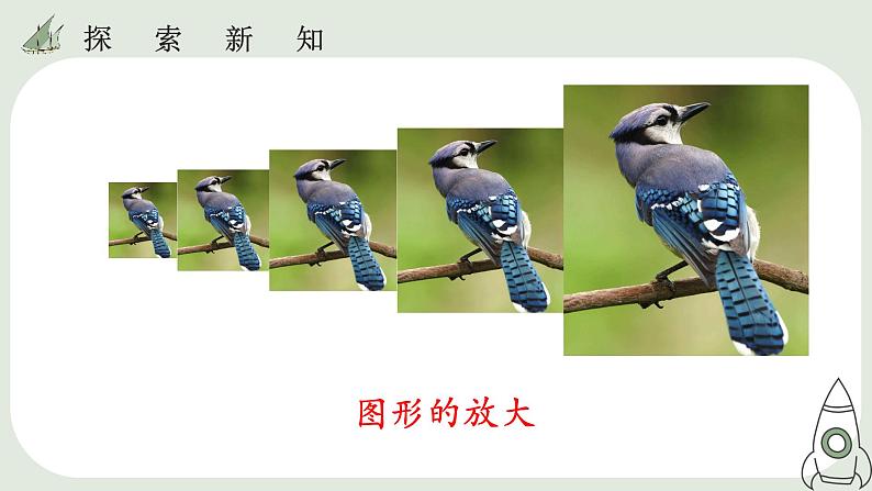 27.1   图形的相似  课件第8页