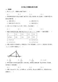 河南省南阳市镇平县2022年九年级上学期期末数学试卷及答案