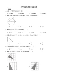 浙江省绍兴市新昌县2022年九年级上学期期末数学试卷及答案